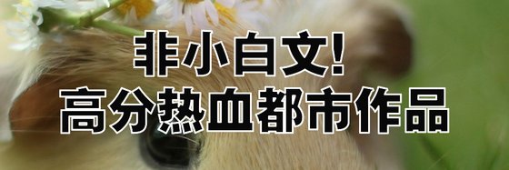 非小白文！高分热血都市作品